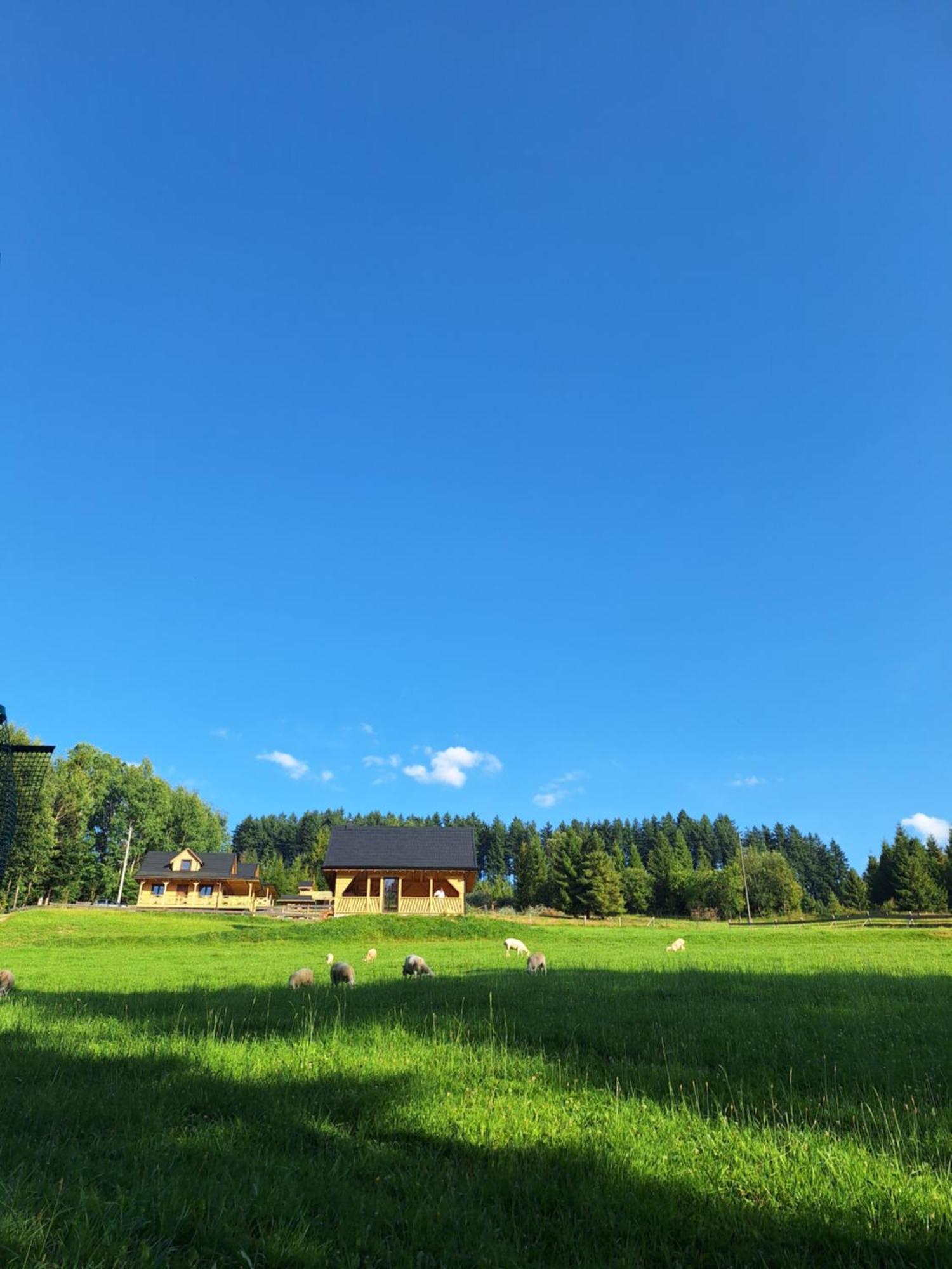 Domek W Klisiowkach Ujsoły Exterior foto